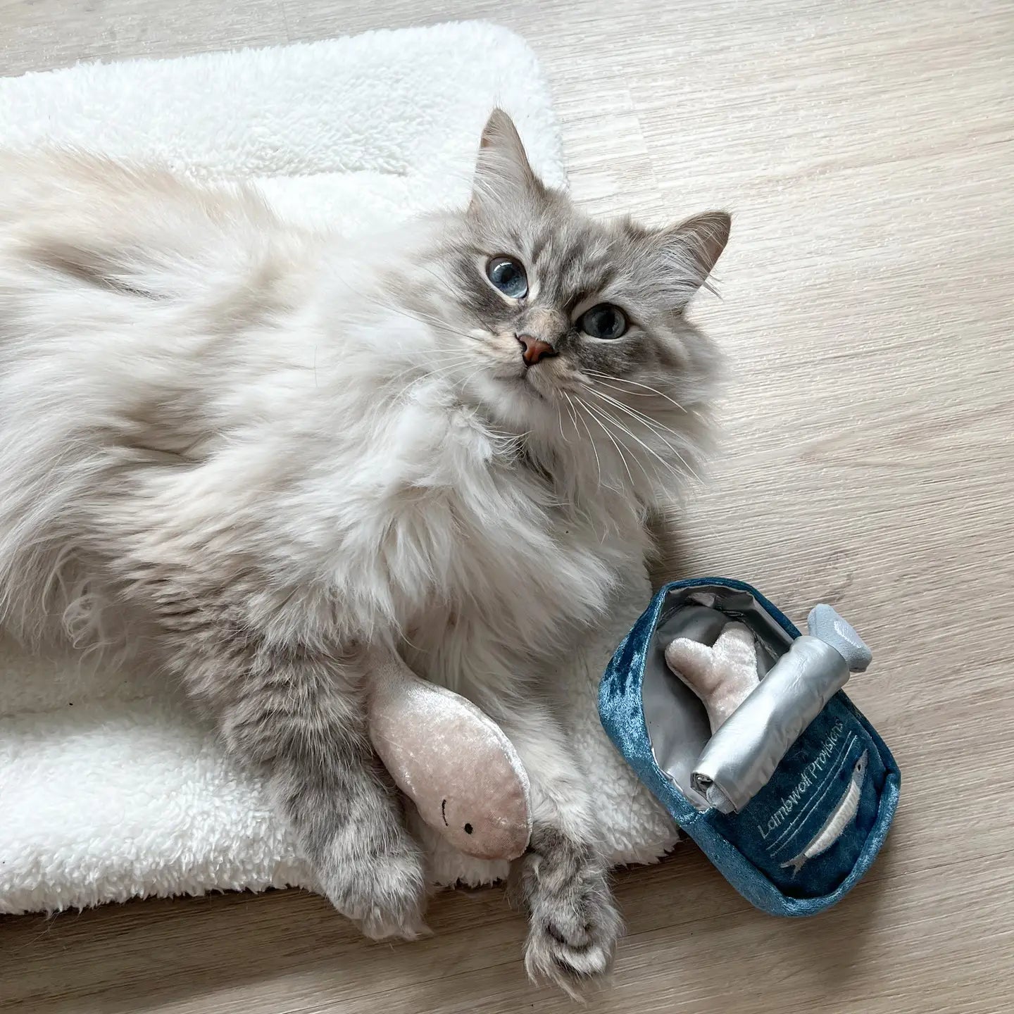 Jouet de fouille pour chat - Les sardines