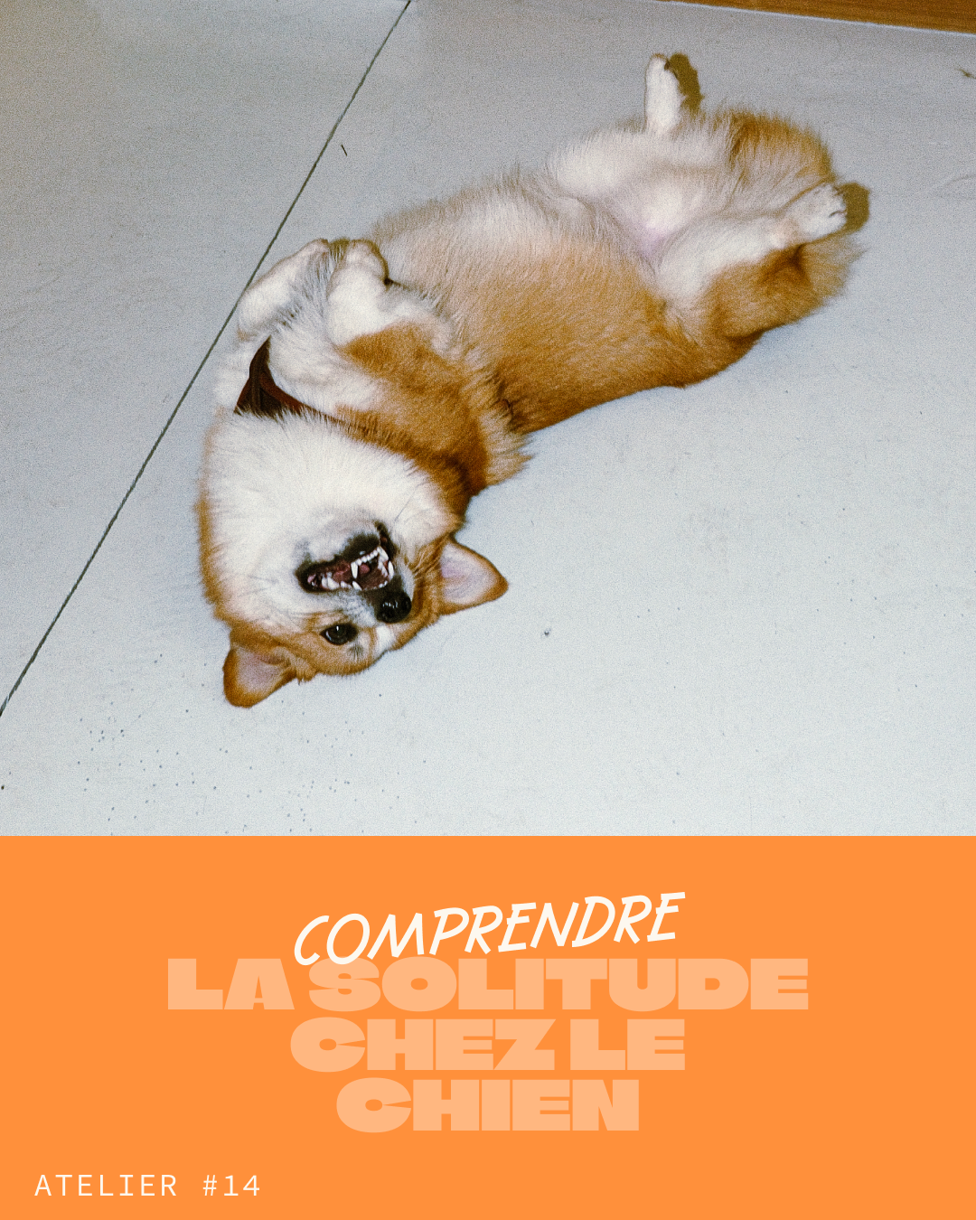 juin.png