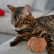 Jouet pour chat - La citrouille
