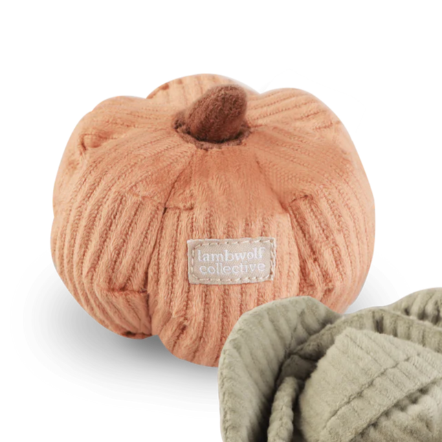 kitty-veggie-set-455162_1080x_e46d2506-fa3d-4e01-9d74-49516b287f52.png