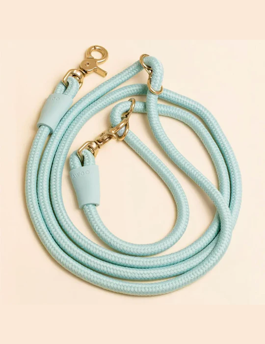 laisse-awoo-turquoise.png