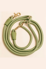 Laisse mains libres - Olive
