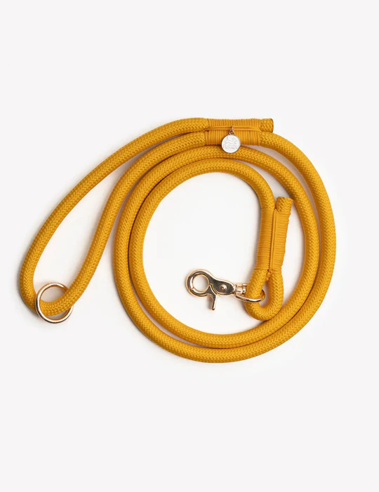laisse-furlou-jaune.png