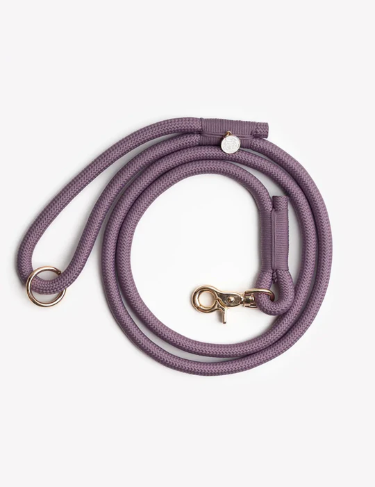 laisse-furlou-lilas.png