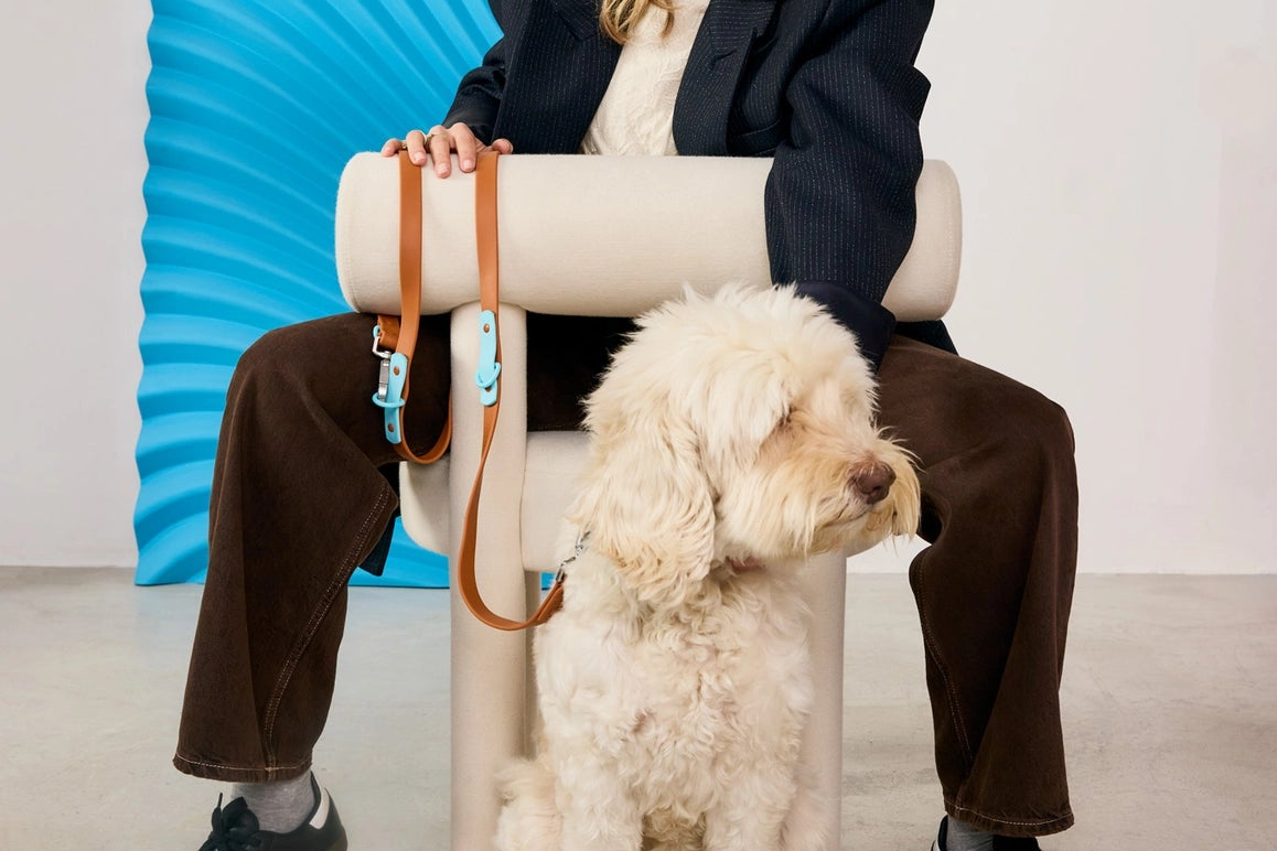 laisseimpermeablechienbleuetmarron2.png