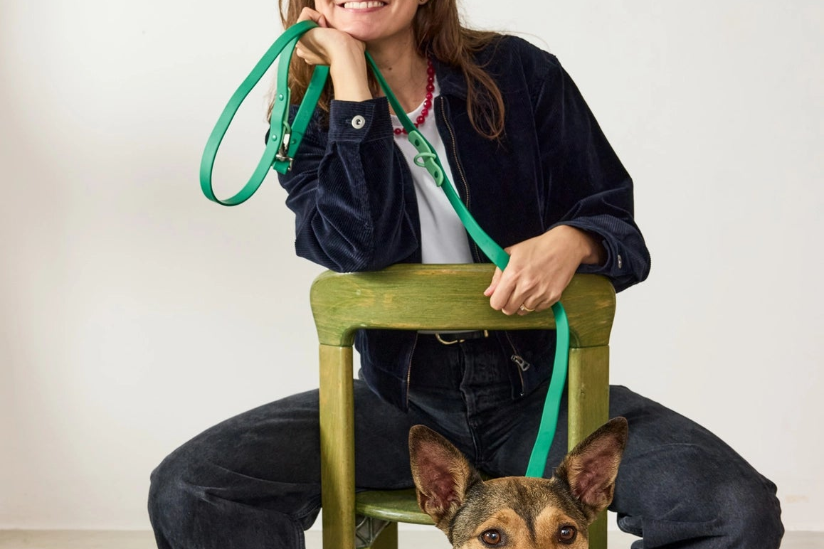 laisseimpermeablechienvert2.png