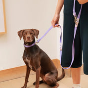 Collier waterproof - Lilas