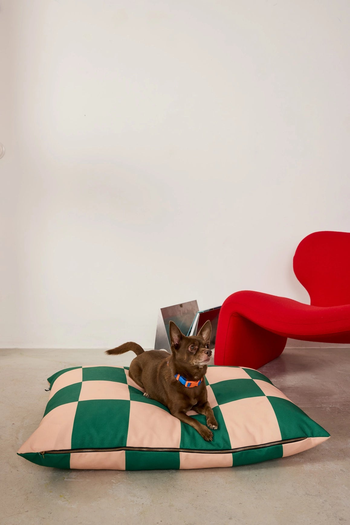 Lit pour chien à carreaux - Vert et rose