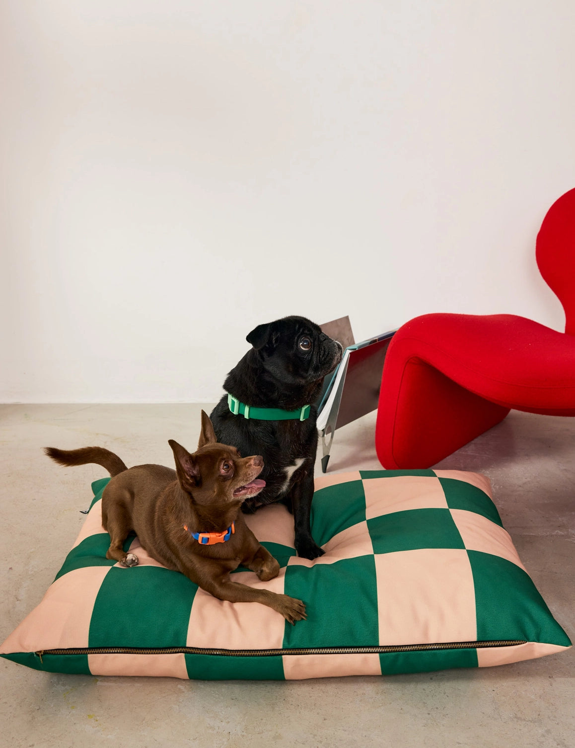 litpourchienacarreauxvertetrose3.webp
