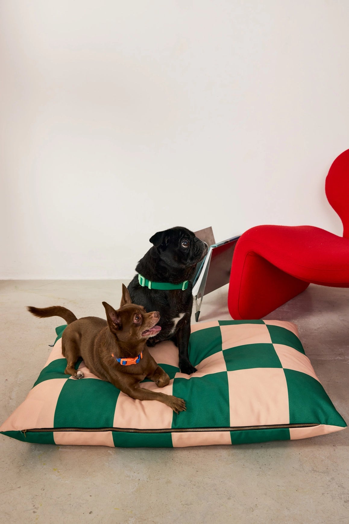 Lit pour chien à carreaux - Vert et rose