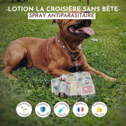 Lotion anti-parasitaires pour chiens