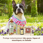 Lotion anti-parasitaires pour chiens
