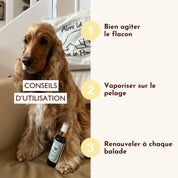 Lotion anti-parasitaires pour chiens