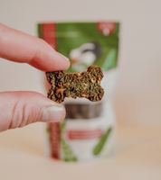 Friandises naturelles pour chien - Moringa et courgette | Muzon