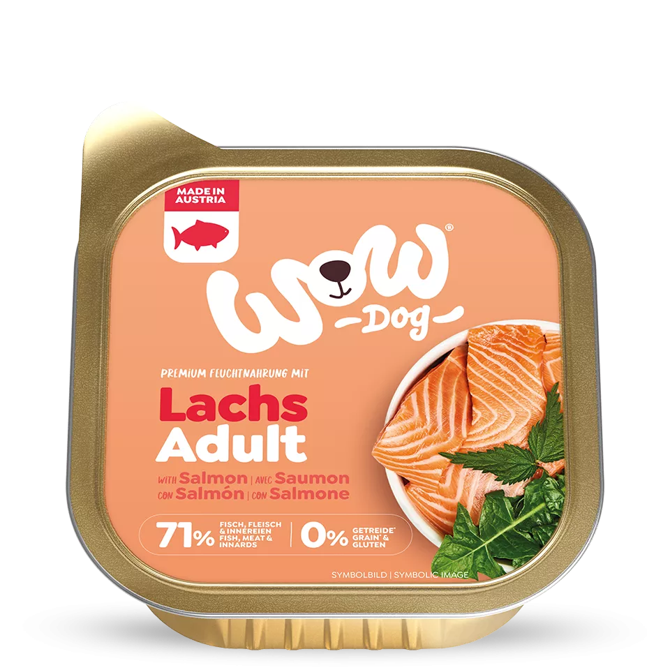 nourriturehumidechienssaumon1.webp