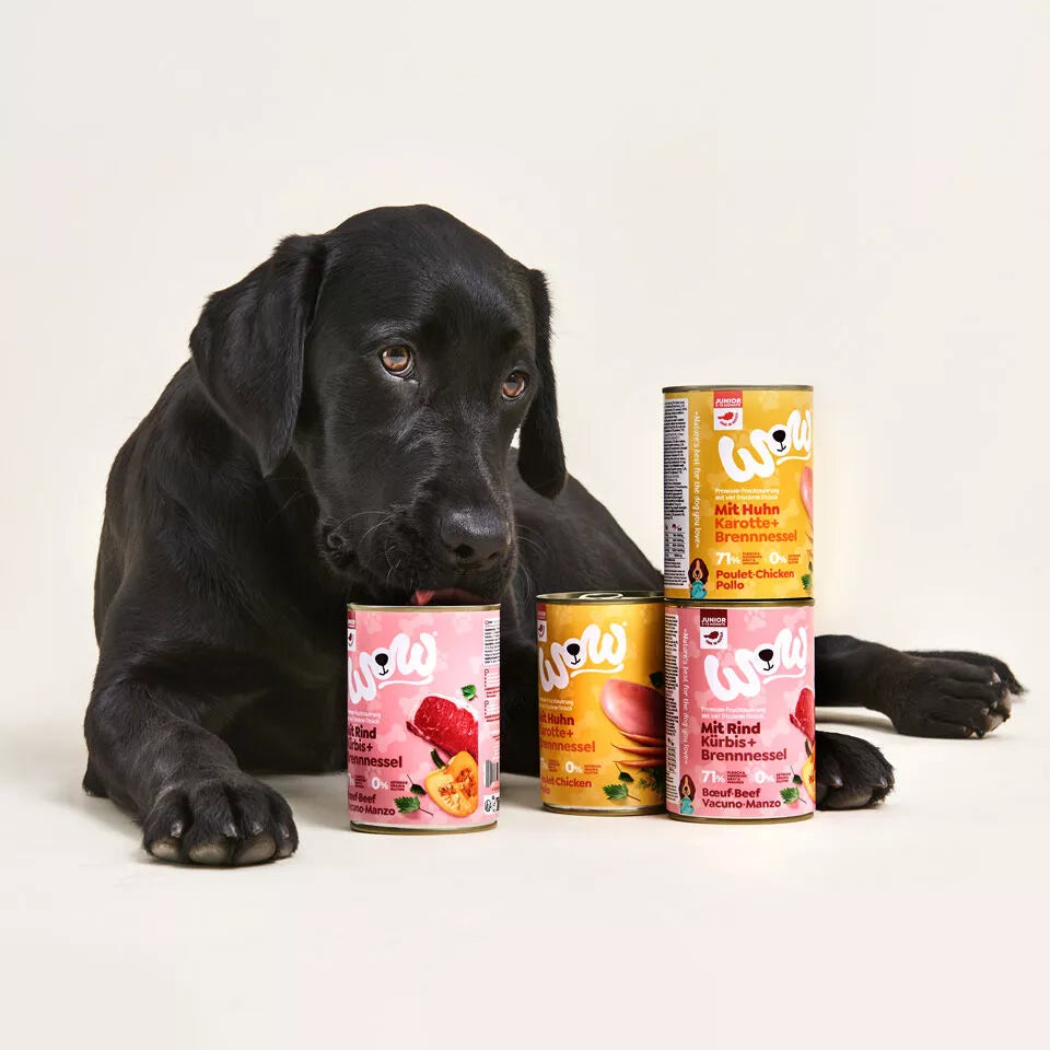 Pâté pour chien junior - Poulet