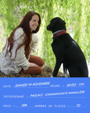 Atelier #17 : Comprendre comment le chien reflète les émotions - 14.11.2026