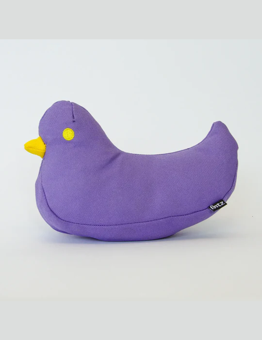 oiseau.png