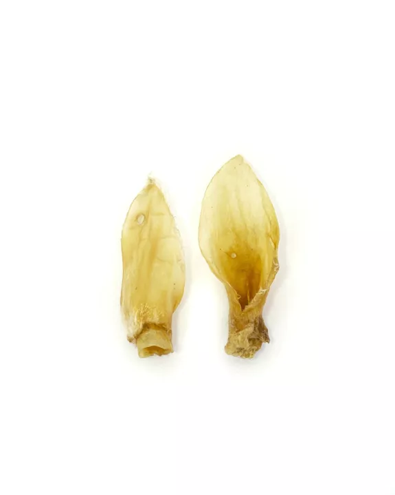 Friandise pour chien - Oreilles d'agneau entières