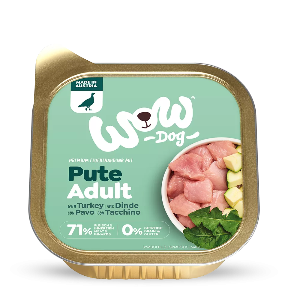 patehumidechiensdinde1.webp