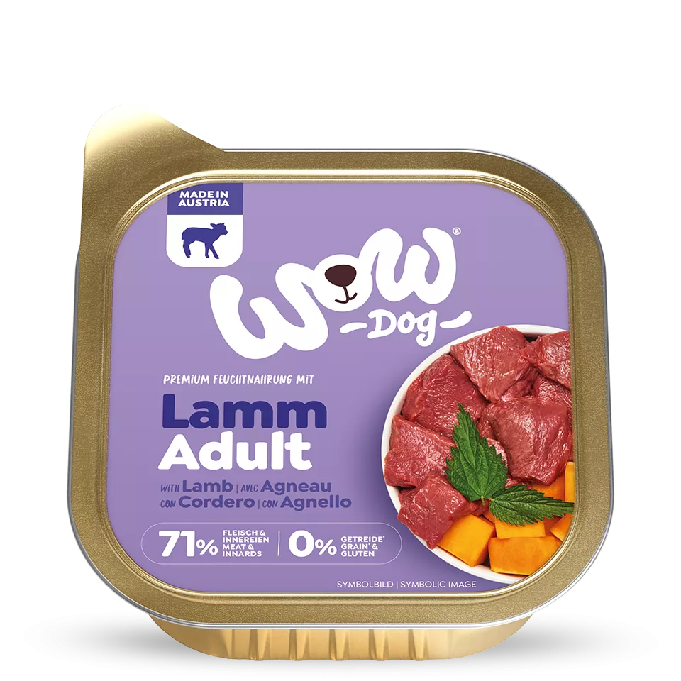patehumidepourchiensagneau1.webp