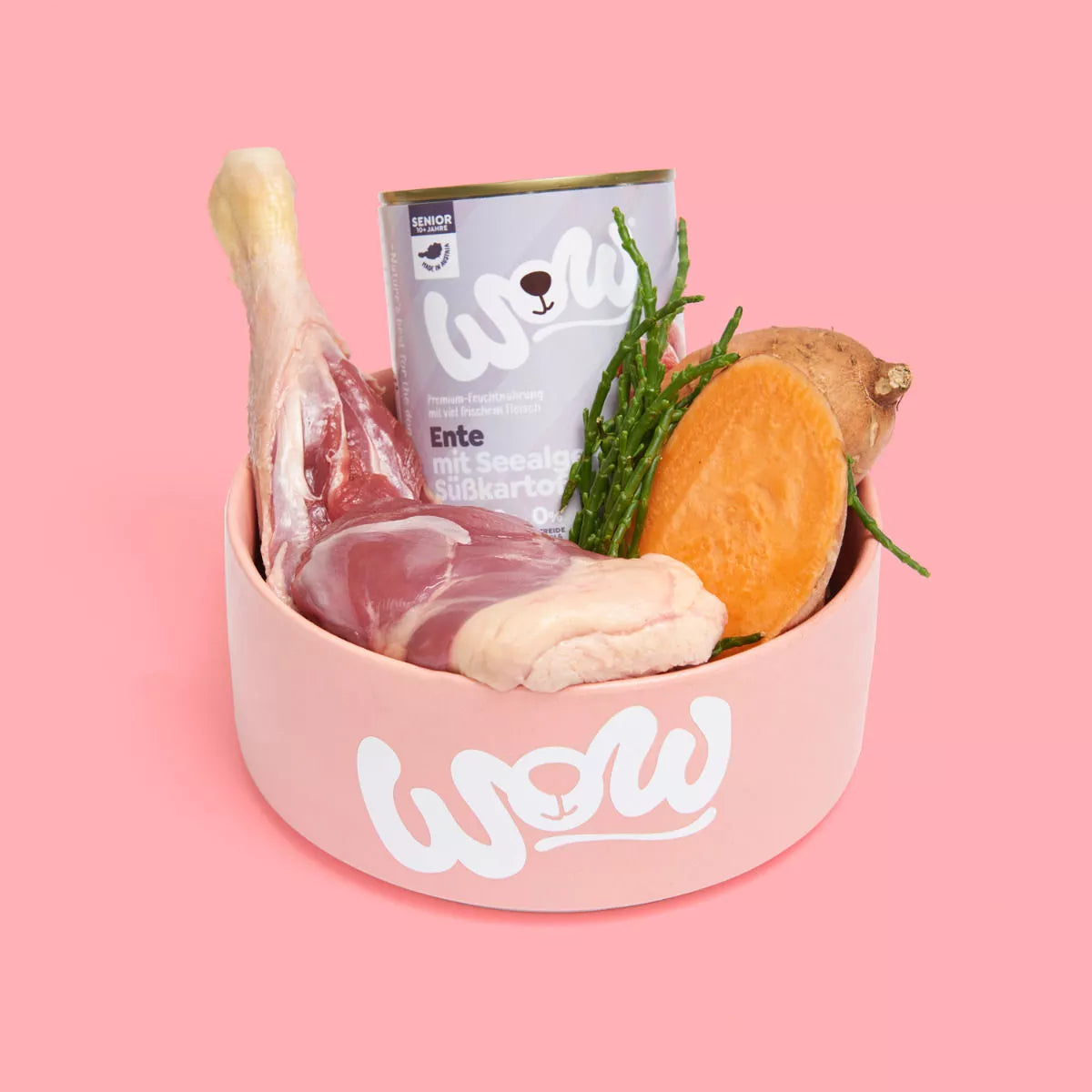 Pâté pour chien sénior - Canard