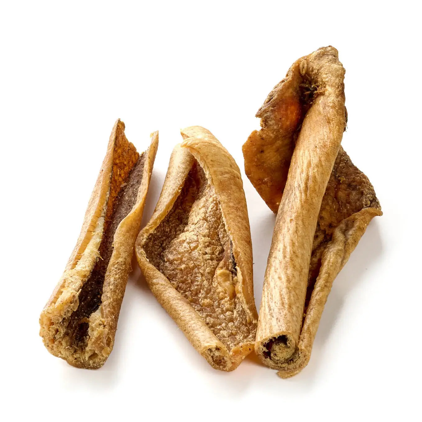 Peaux de sanglier - Mastication naturelle