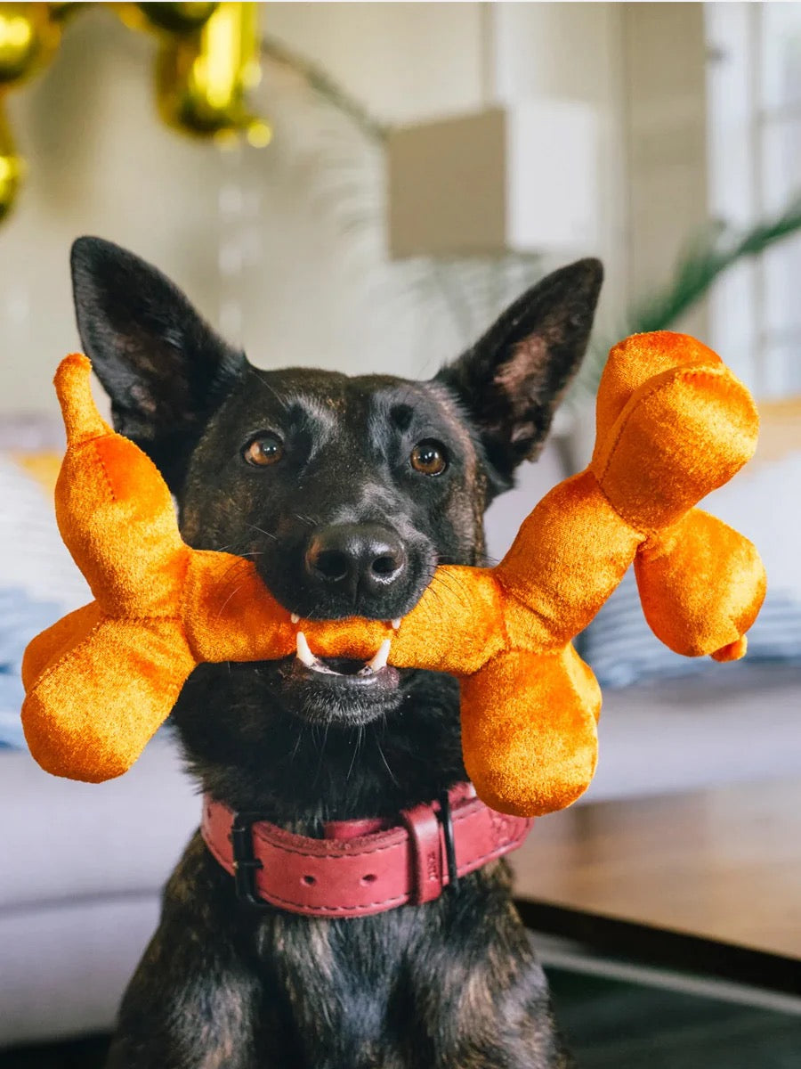 Peluche - Le ballon chien
