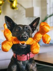 Peluche - Le ballon chien
