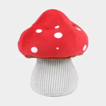 pet-play-champignon.jpg