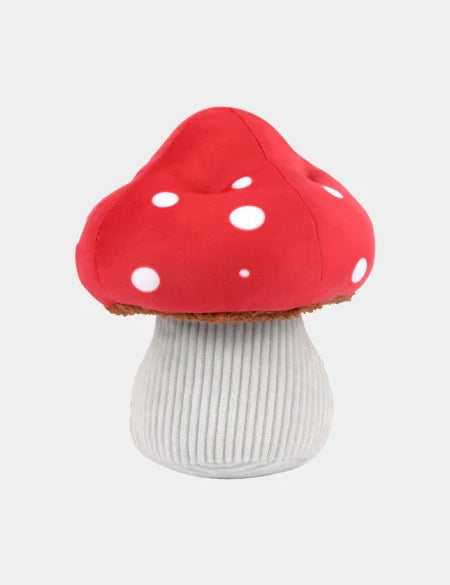 pet-play-champignon.jpg