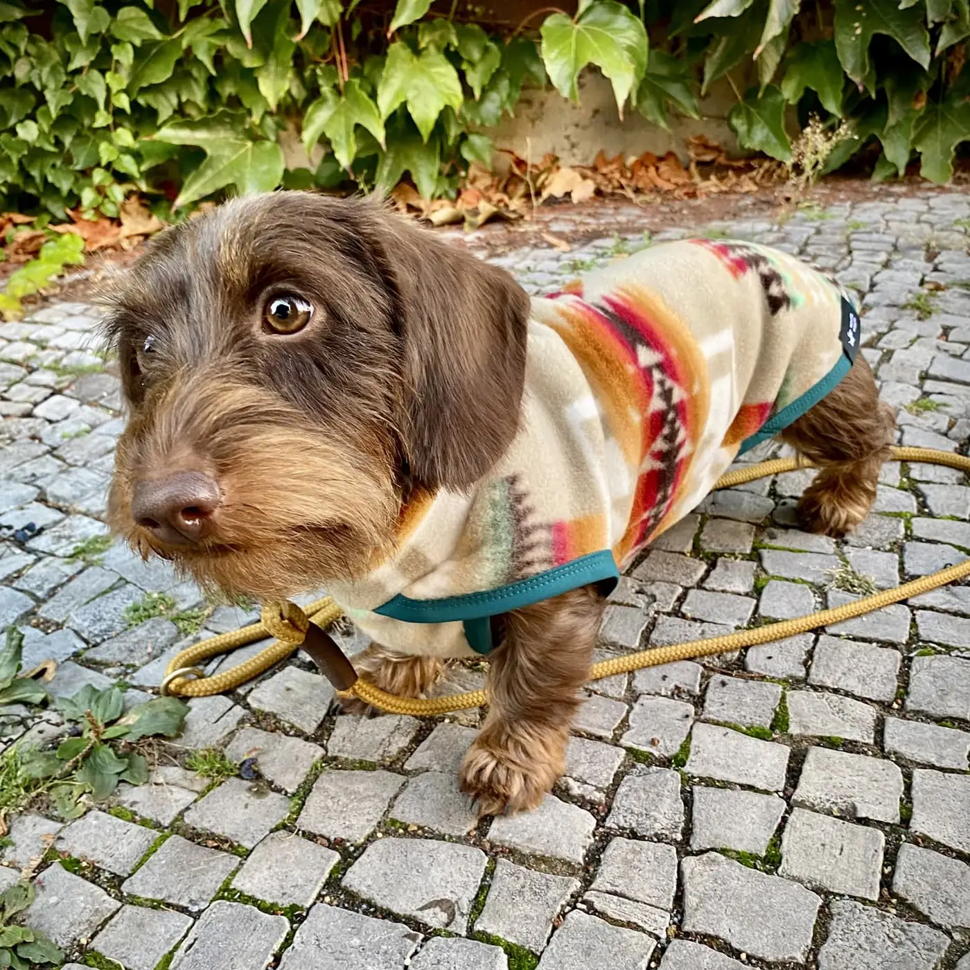 Pull pour chien - Polaire Desert