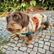 Pull pour chien - Polaire Desert