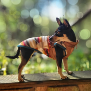 Pull pour chien - Polaire sherpa Desert