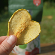 Friandise pour chien Pommes séchées