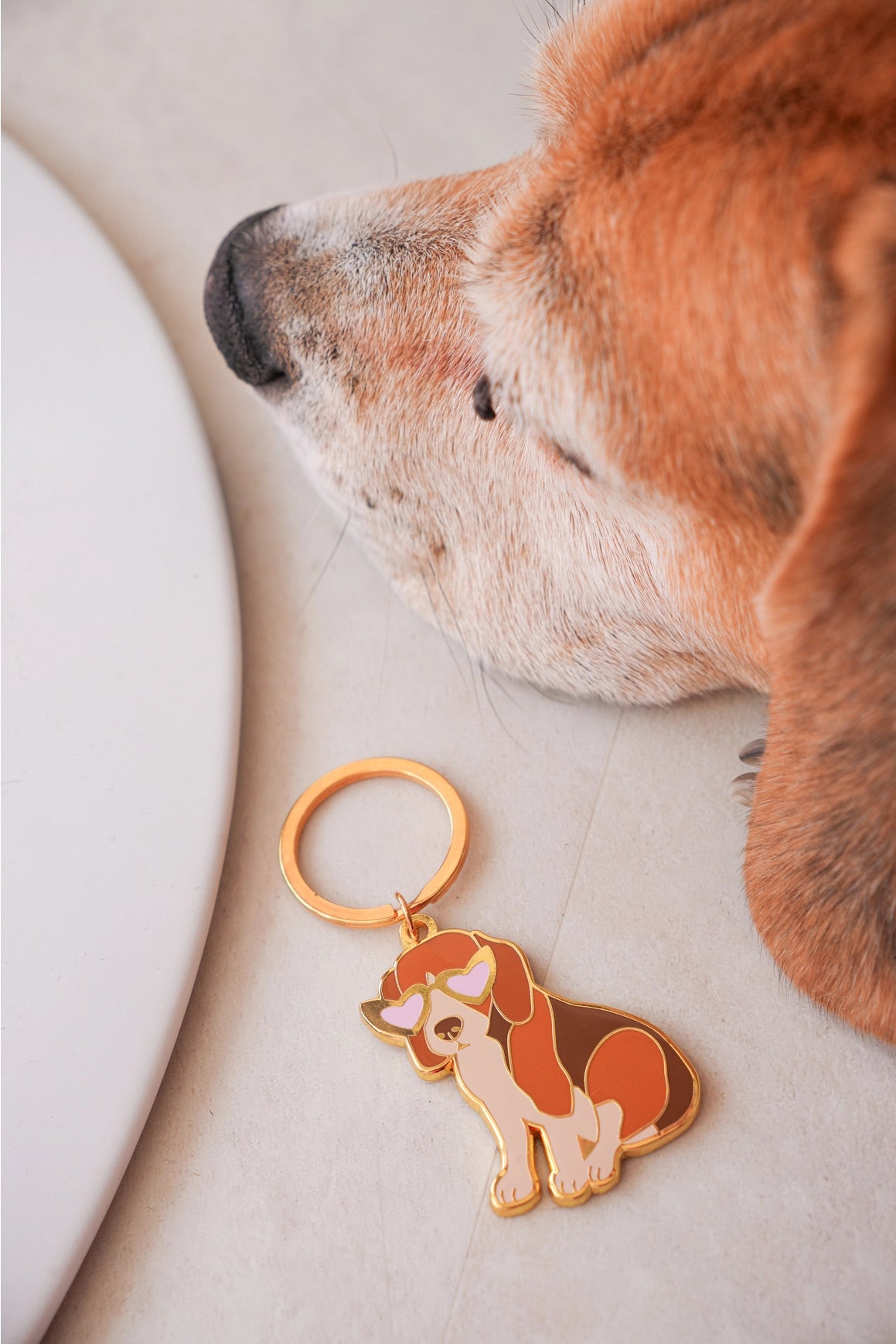 Porte-clés - Beagle