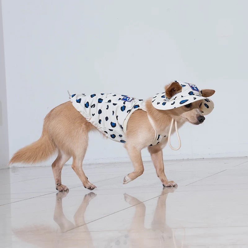 puppy-gallery-bob-panthere2.jpg