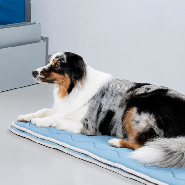 puppy-gallery-tapis-rafraichissant-bleu3.png
