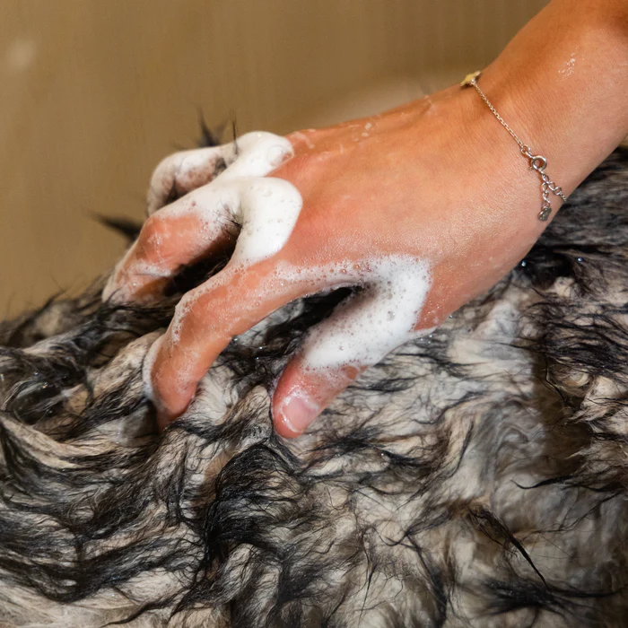 shampoing-naturel-chien-fur-love-3.png