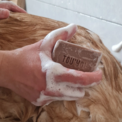 Shampoing solide - Lavande Eucalyptus-Soins-Tou'you-Muzon