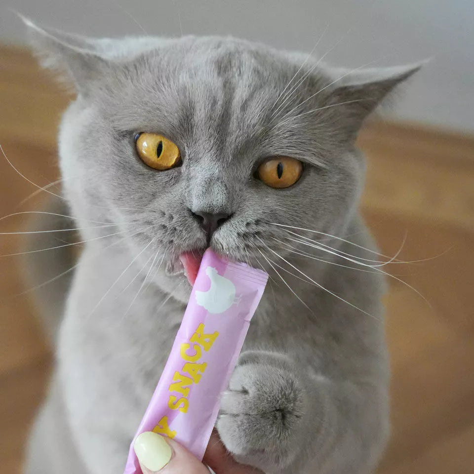 Poulet - Creamy snack pour chat