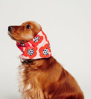 Snood - Red Flowers