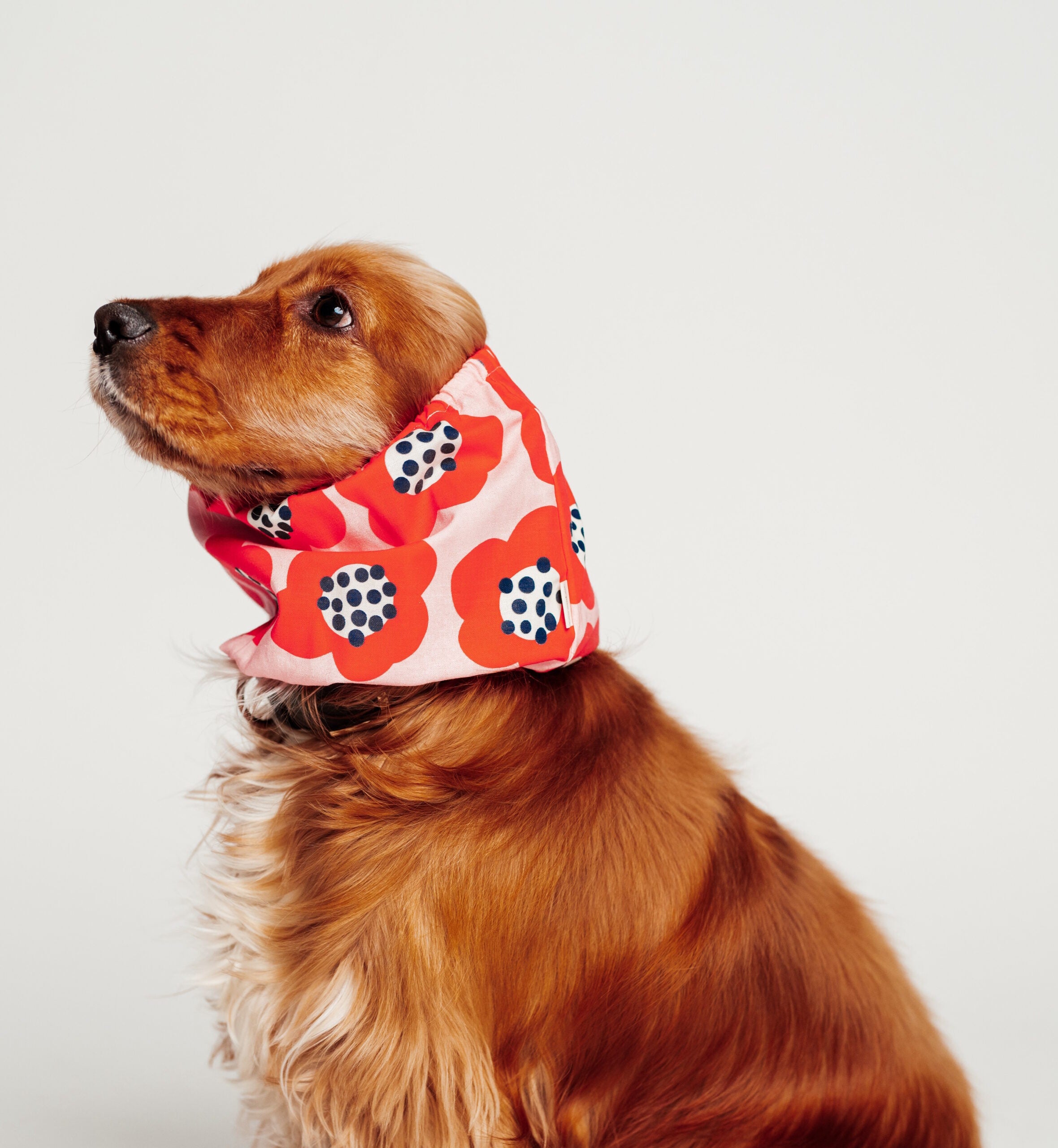 Snood - Red Flowers