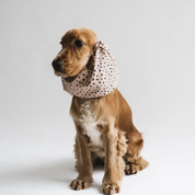 Snood pour chien fait main - Beige tacheté | Muzon