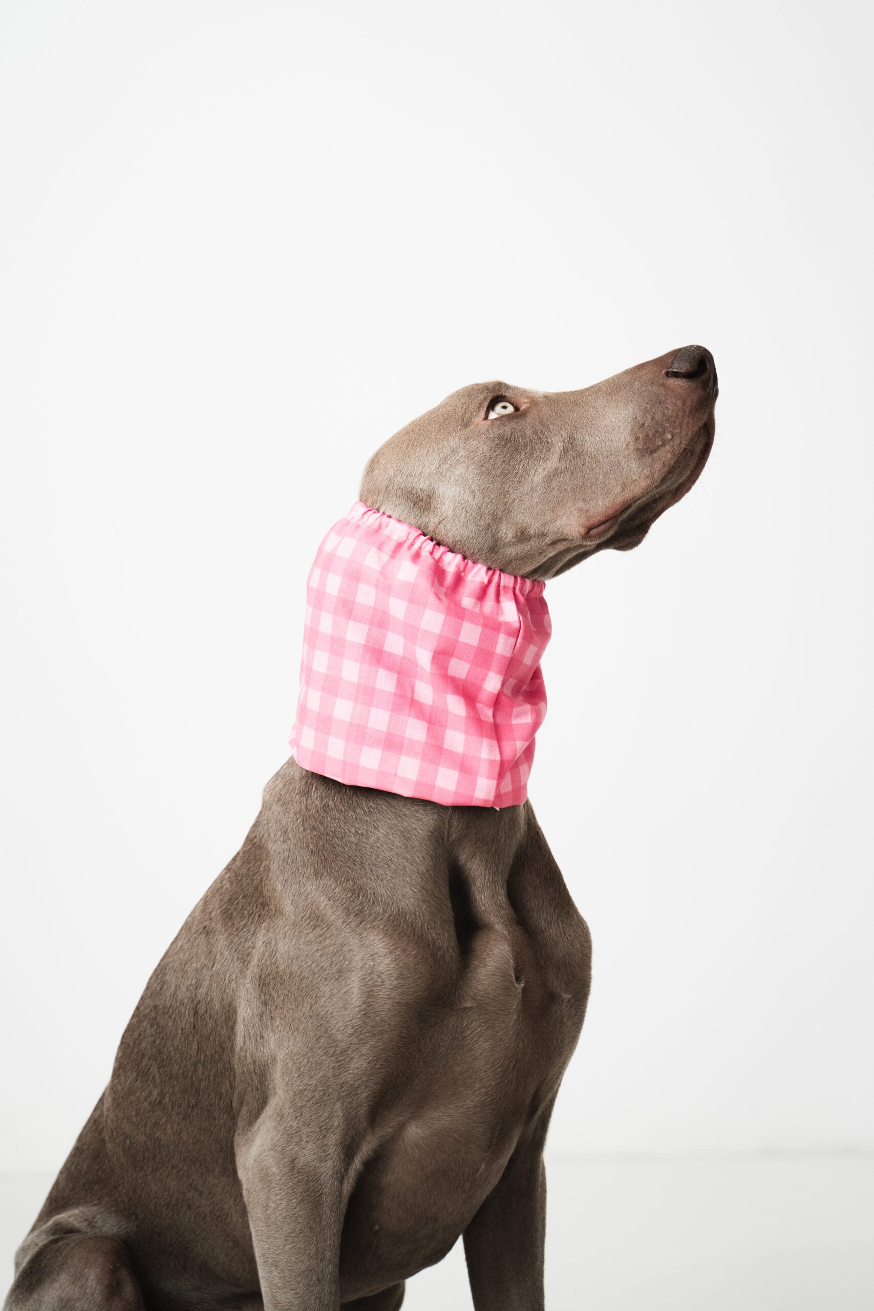 Snood - Vichy rose