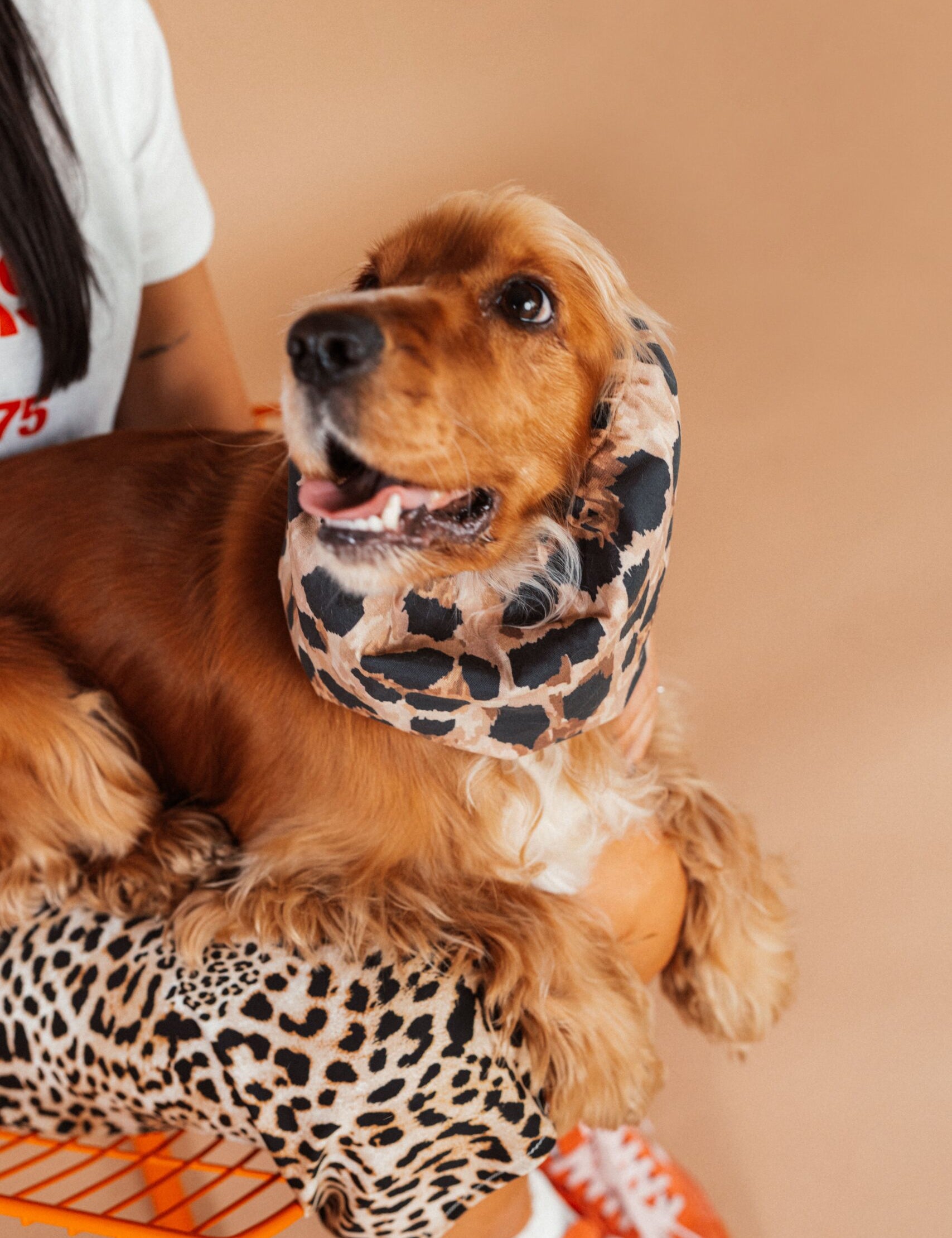 snood-leopard-2.jpg