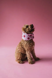 Snood - Pois roses