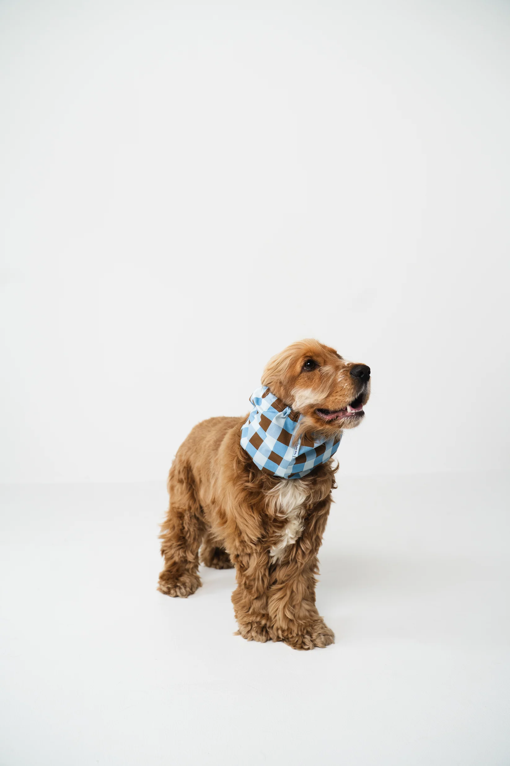 Snood - Carreaux bleus