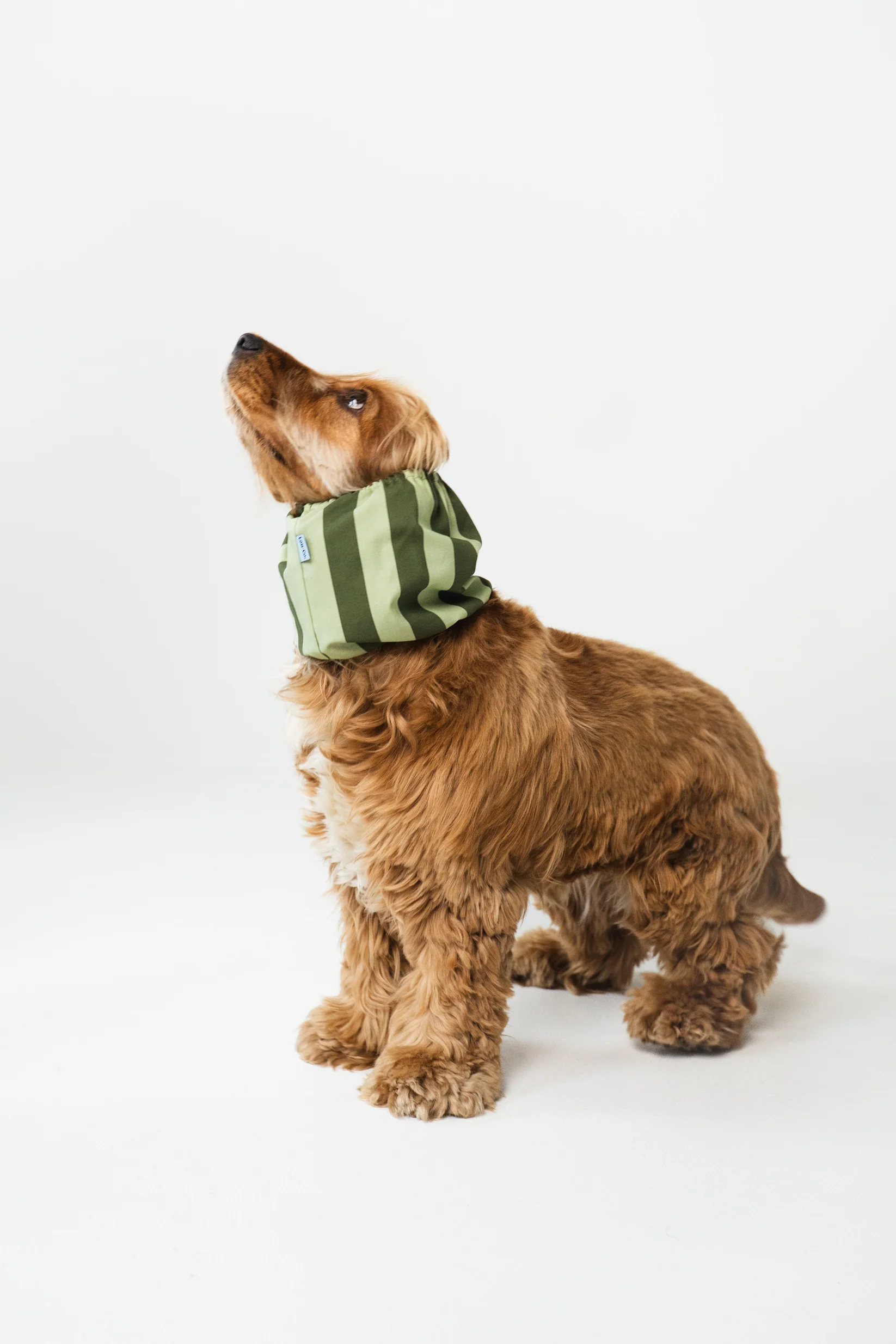 Snood - Rayures vertes