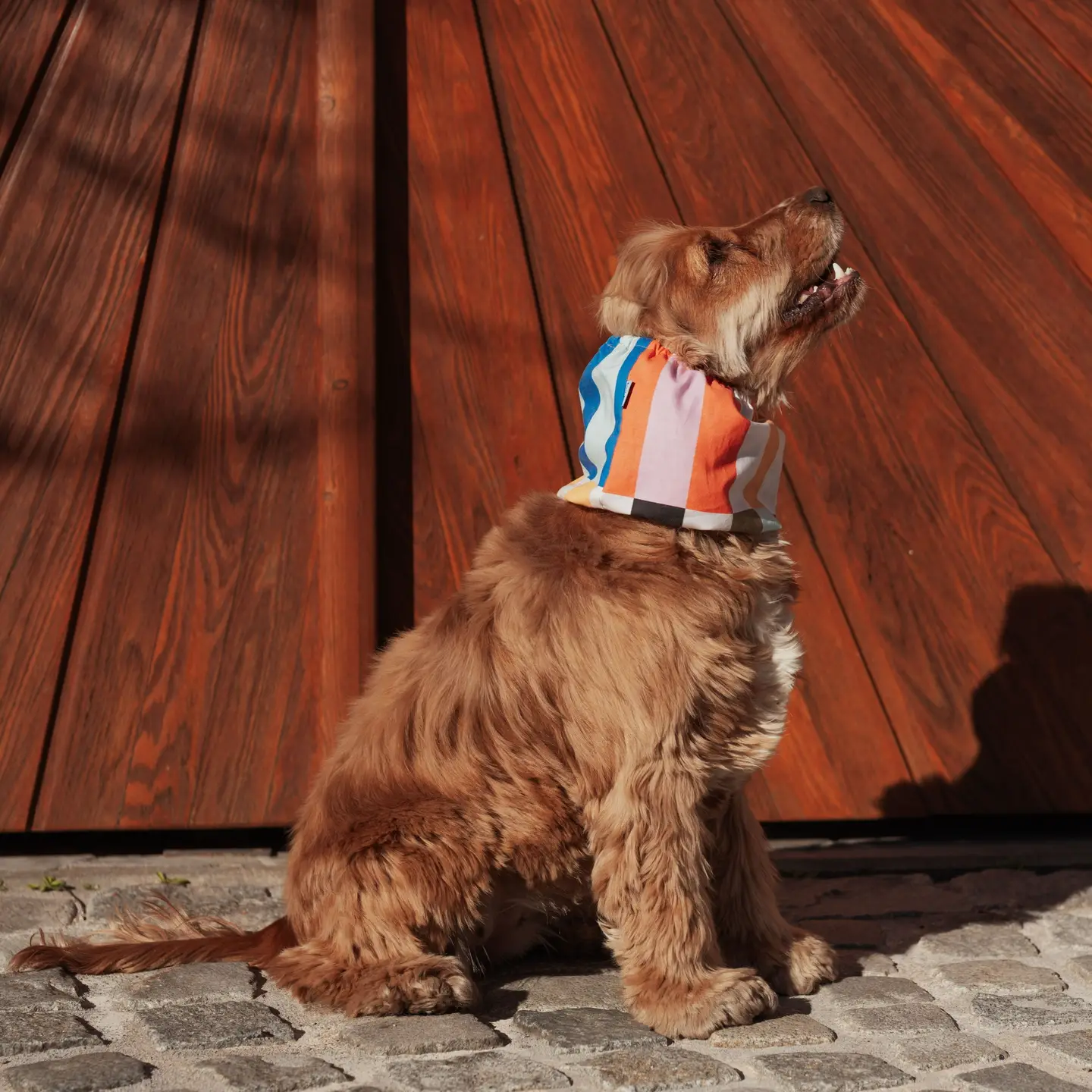 Snood - Rayures multicolores